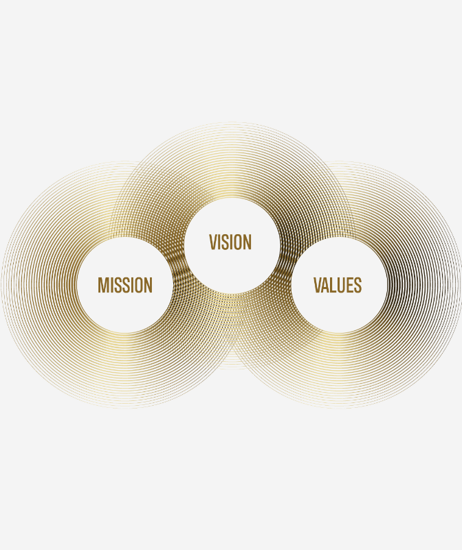 Vision-Mission-Values